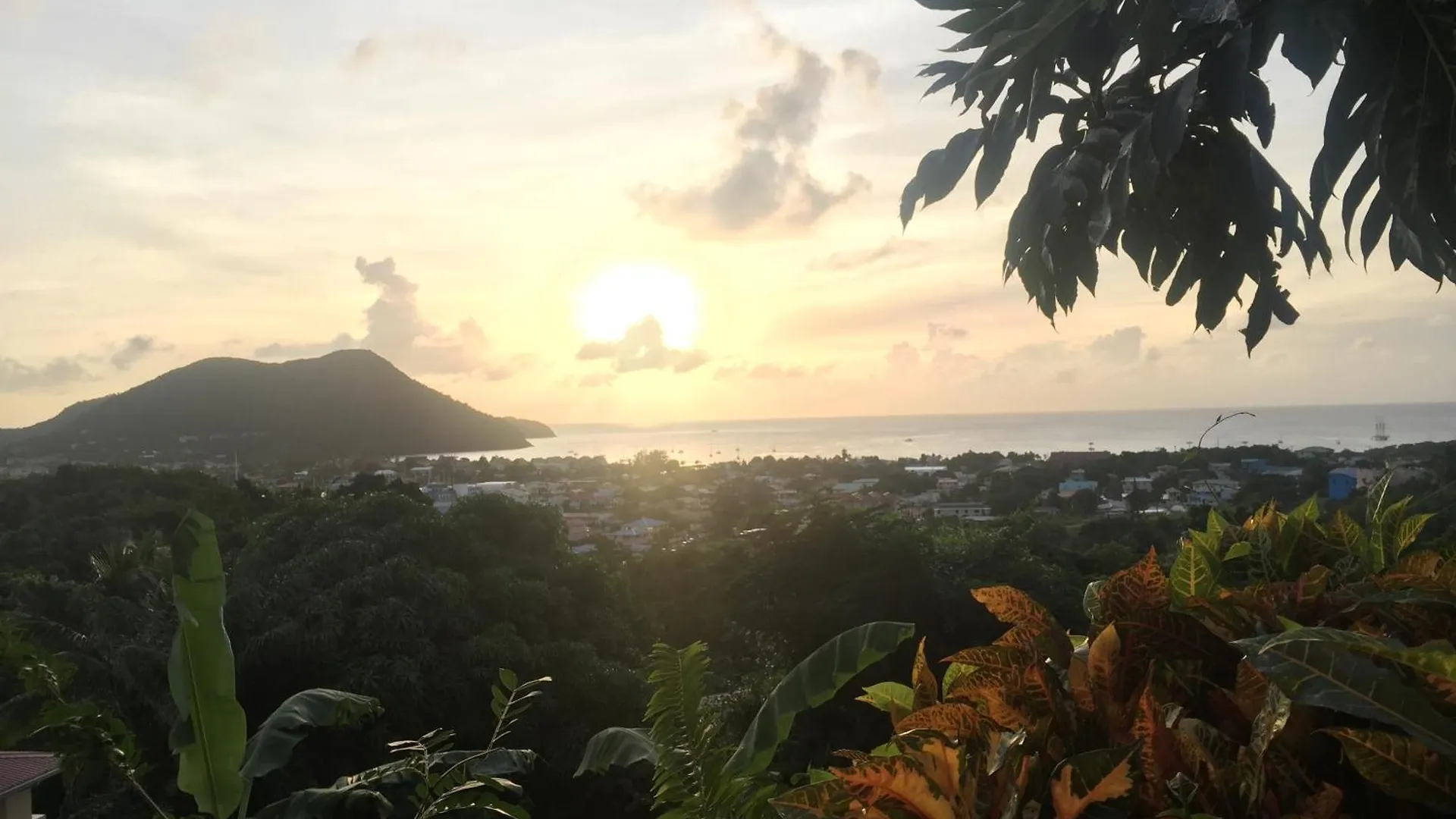 Affittacamere La Panache Guesthouse Gros Islet